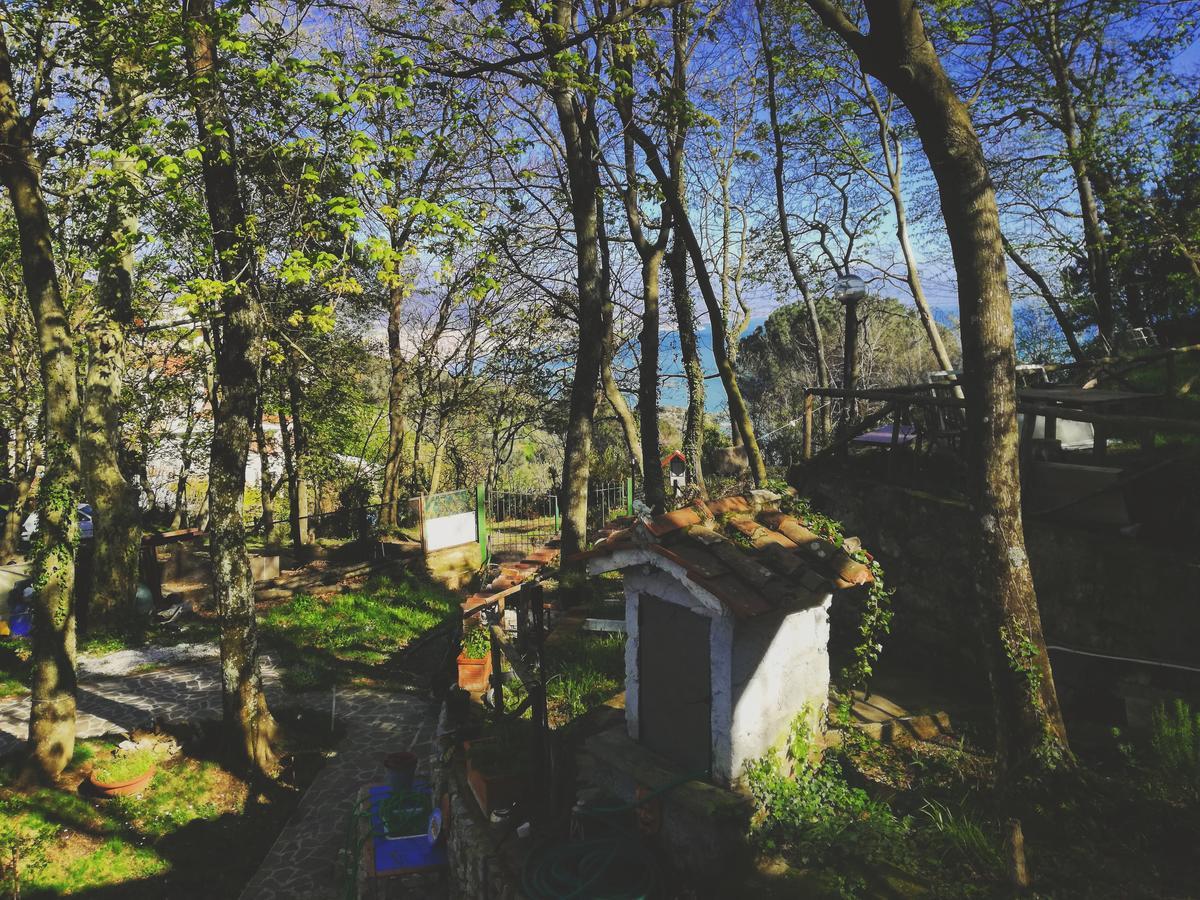 B&B Rifugio Angelina Виетри Экстерьер фото